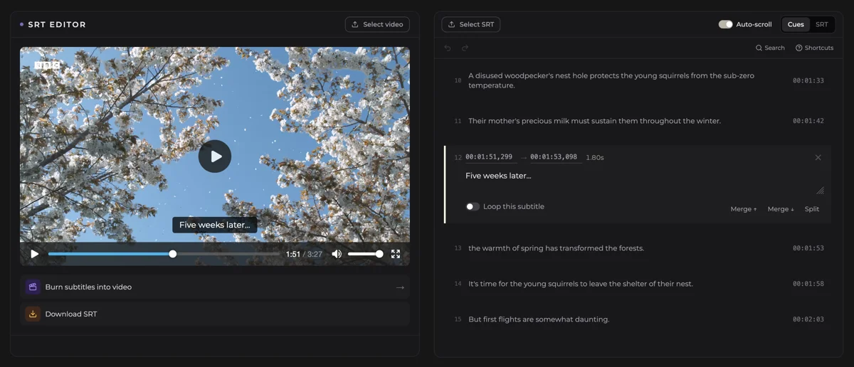 AI subtitle editor on Subtitling.net. Video player with subtitle overlay on the left, subtitle editing blocks with timecodes and controls on the right.